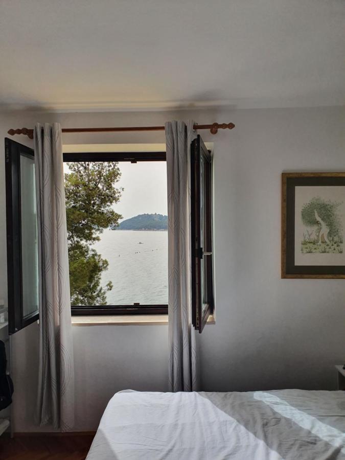 Apartman David Tribunj  Luaran gambar